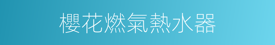 櫻花燃氣熱水器的同義詞
