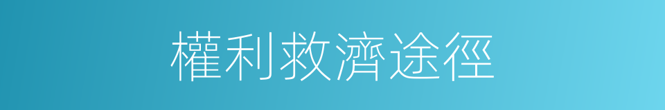 權利救濟途徑的同義詞
