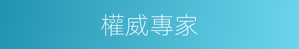 權威專家的同義詞