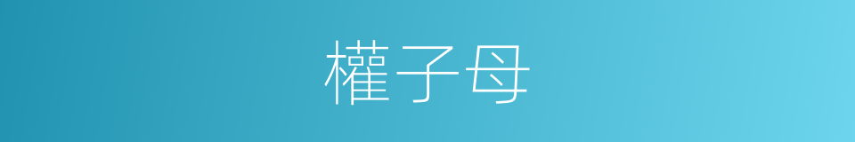 權子母的意思