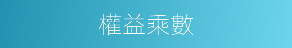 權益乘數的同義詞