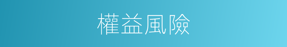 權益風險的同義詞
