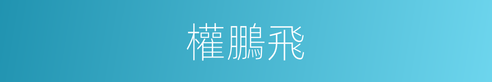 權鵬飛的同義詞