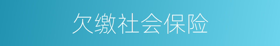 欠缴社会保险的同义词