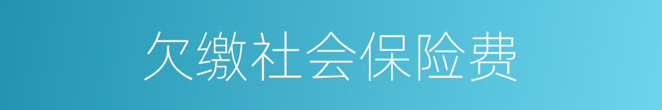 欠缴社会保险费的同义词