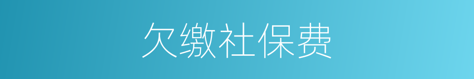 欠缴社保费的同义词