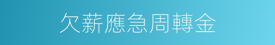 欠薪應急周轉金的同義詞