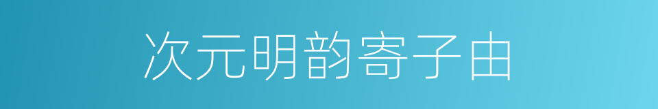 次元明韵寄子由的同义词