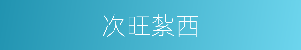 次旺紮西的同義詞