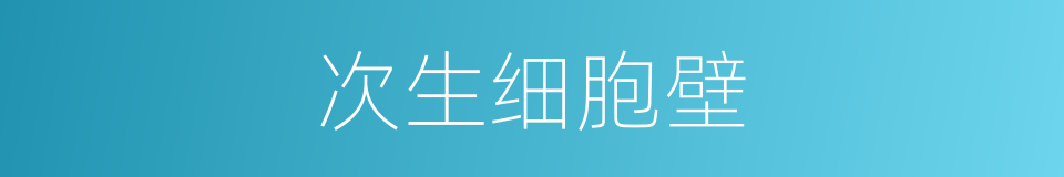 次生细胞壁的同义词