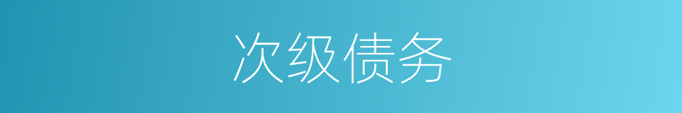次级债务的同义词