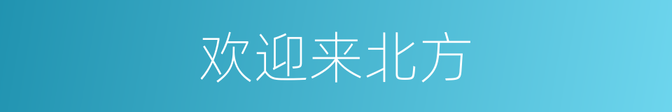 欢迎来北方的同义词