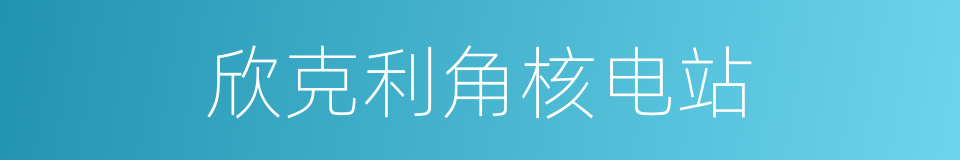 欣克利角核电站的同义词
