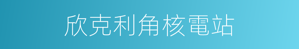 欣克利角核電站的同義詞