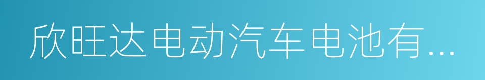 欣旺达电动汽车电池有限公司的同义词