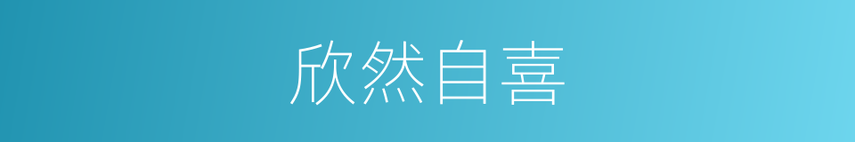 欣然自喜的意思