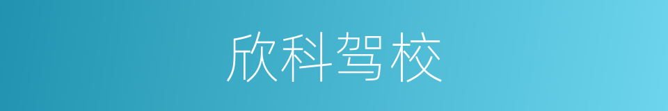 欣科驾校的同义词