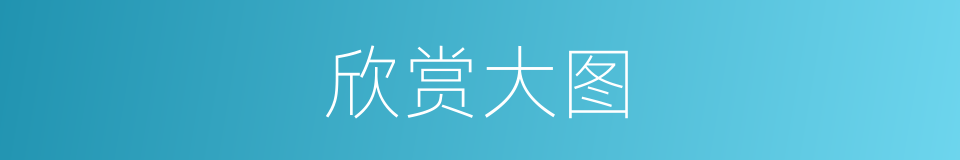 欣赏大图的同义词