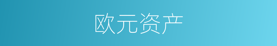 欧元资产的同义词