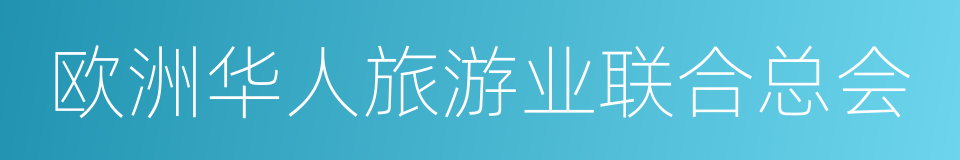 欧洲华人旅游业联合总会的同义词
