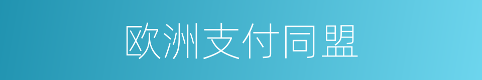 欧洲支付同盟的同义词