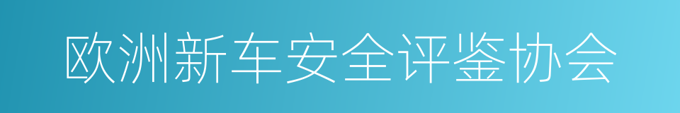 欧洲新车安全评鉴协会的同义词