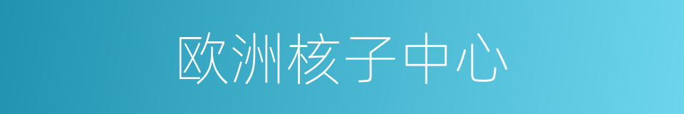 欧洲核子中心的同义词