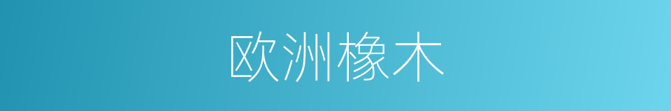 欧洲橡木的同义词