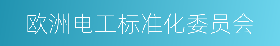 欧洲电工标准化委员会的同义词