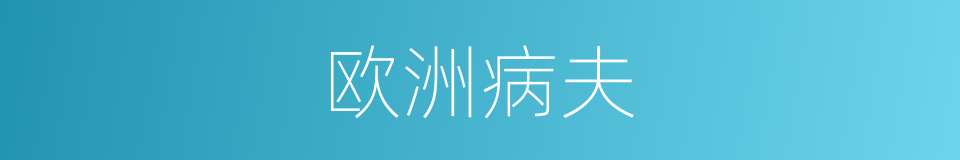 欧洲病夫的同义词