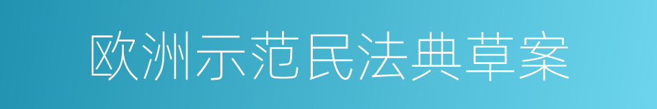 欧洲示范民法典草案的同义词