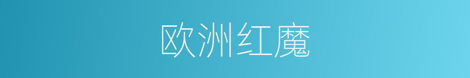 欧洲红魔的同义词