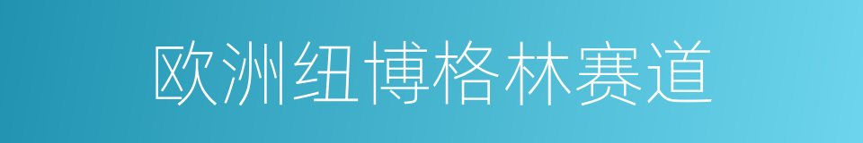 欧洲纽博格林赛道的同义词