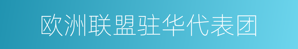 欧洲联盟驻华代表团的同义词