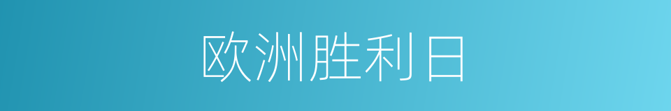 欧洲胜利日的同义词