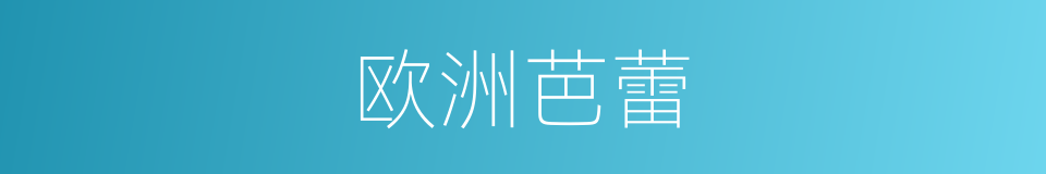欧洲芭蕾的同义词
