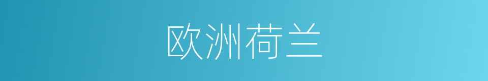 欧洲荷兰的同义词