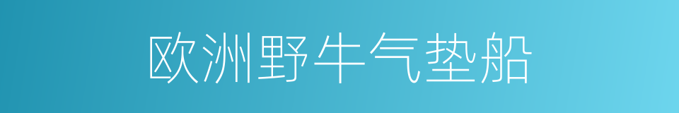 欧洲野牛气垫船的同义词