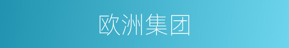欧洲集团的同义词