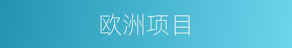 欧洲项目的同义词