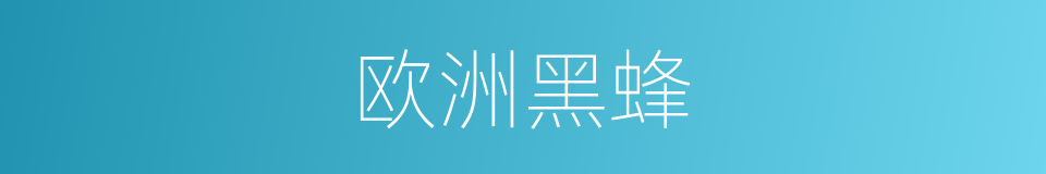 欧洲黑蜂的同义词