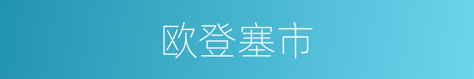 欧登塞市的同义词