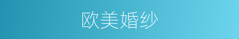 欧美婚纱的同义词