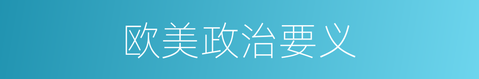 欧美政治要义的同义词