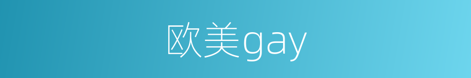欧美gay的同义词