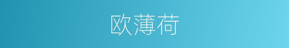 欧薄荷的同义词