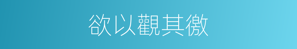 欲以觀其徼的同義詞