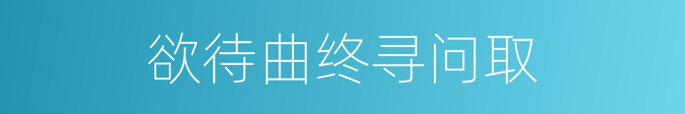 欲待曲终寻问取的同义词