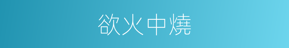 欲火中燒的意思