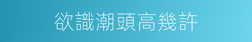 欲識潮頭高幾許的同義詞